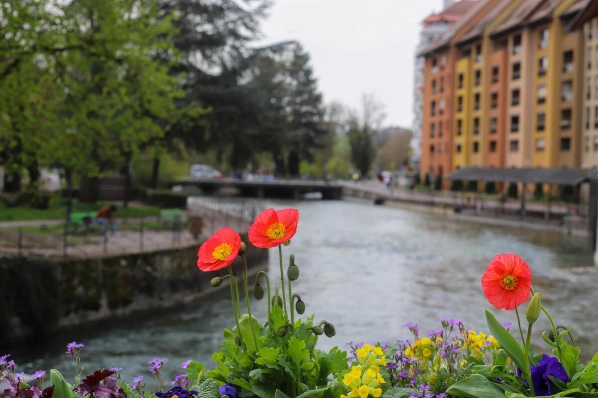Le Coeur De Ville Splendide T2 Plein Centre Annecy Exterior photo